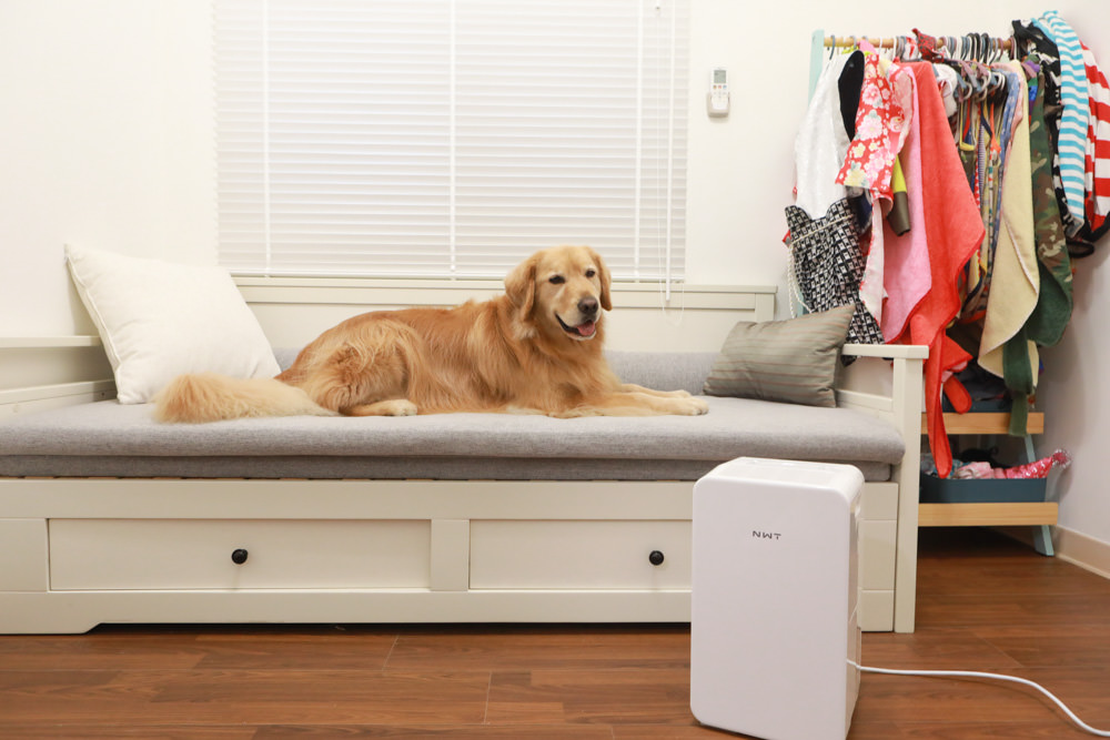 NWT威技一級能效6公升銀離子抗菌除濕機(WDH-06ES)。體積輕巧、強效除濕  一鍵清淨、快速乾衣