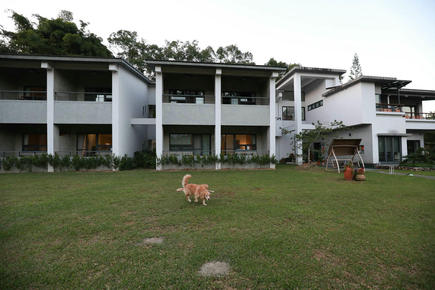 南投日月潭民宿|雁寓雅緻行館。大草皮、星級飯店的住宿品質、距離日月潭10分鐘車程(禁止開放寵物) - 第8張圖 南投日月潭民宿|雁寓雅緻行館。大草皮、星級飯店的住宿品質、距離日月潭10分鐘車程(禁止開放寵物)