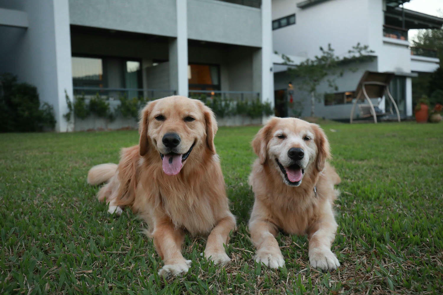 南投日月潭民宿|雁寓雅緻行館。大草皮、星級飯店的住宿品質、距離日月潭10分鐘車程(禁止開放寵物) - 第25張圖 南投日月潭民宿|雁寓雅緻行館。大草皮、星級飯店的住宿品質、距離日月潭10分鐘車程(禁止開放寵物)