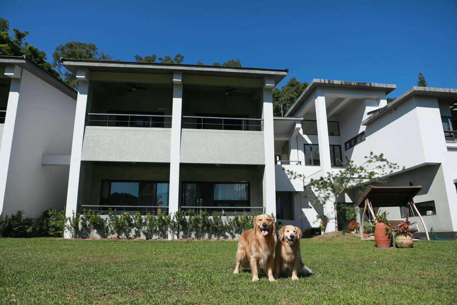 南投日月潭民宿|雁寓雅緻行館。大草皮、星級飯店的住宿品質、距離日月潭10分鐘車程(禁止開放寵物) - 第2張圖 南投日月潭民宿|雁寓雅緻行館。大草皮、星級飯店的住宿品質、距離日月潭10分鐘車程(禁止開放寵物)