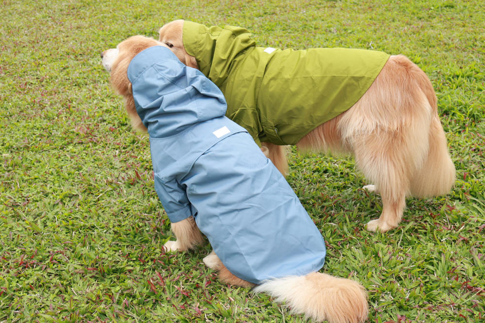 毛孩群島選品電商首推｜可調節防潑水魔術氈雨衣。讓你的毛孩時髦出行、方便快速穿脫、雨天出門保持乾淨清爽