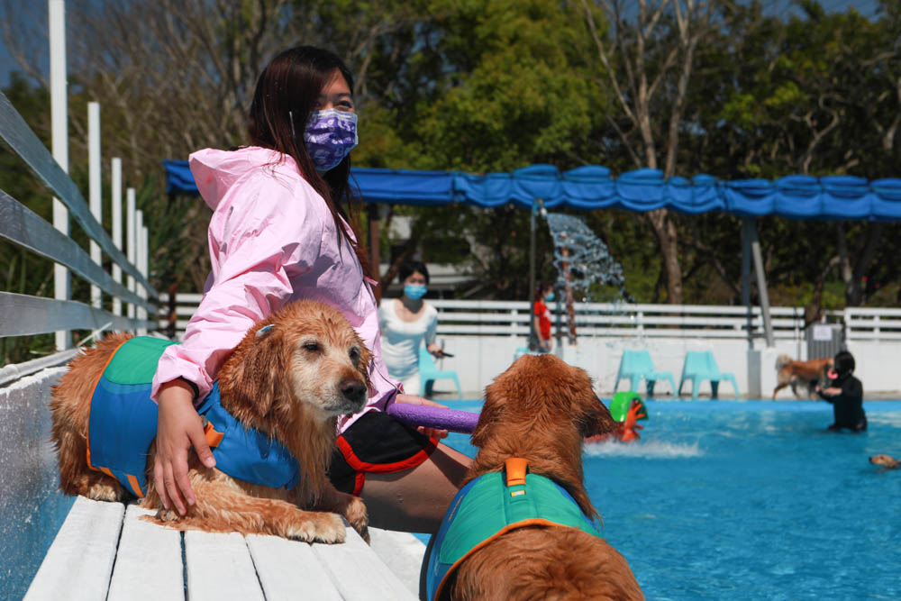 USii 風雨衣、兒童雨衣|雨天遛狗、露營戶外活動必備,防風擋雨、輕量透氣好舒適! - 第17張圖 USii 風雨衣、兒童雨衣|雨天遛狗、露營戶外活動必備,防風擋雨、輕量透氣好舒適!