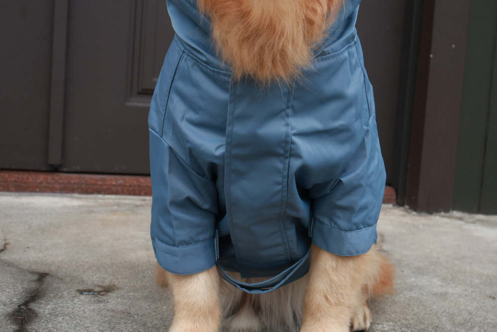 毛孩群島選品電商首推｜可調節防潑水魔術氈雨衣。讓你的毛孩時髦出行、方便快速穿脫、雨天出門保持乾淨清爽