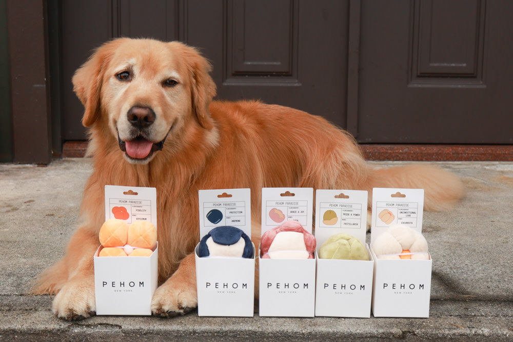 毛孩群島選品電商首推｜可調節防潑水魔術氈雨衣。讓你的毛孩時髦出行、方便快速穿脫、雨天出門保持乾淨清爽