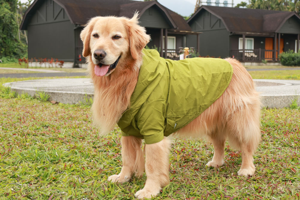 毛孩群島選品電商首推｜可調節防潑水魔術氈雨衣。讓你的毛孩時髦出行、方便快速穿脫、雨天出門保持乾淨清爽