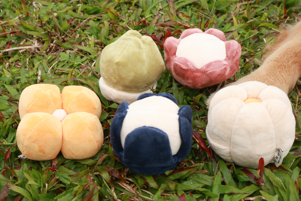 毛孩群島選品電商首推｜可調節防潑水魔術氈雨衣。讓你的毛孩時髦出行、方便快速穿脫、雨天出門保持乾淨清爽