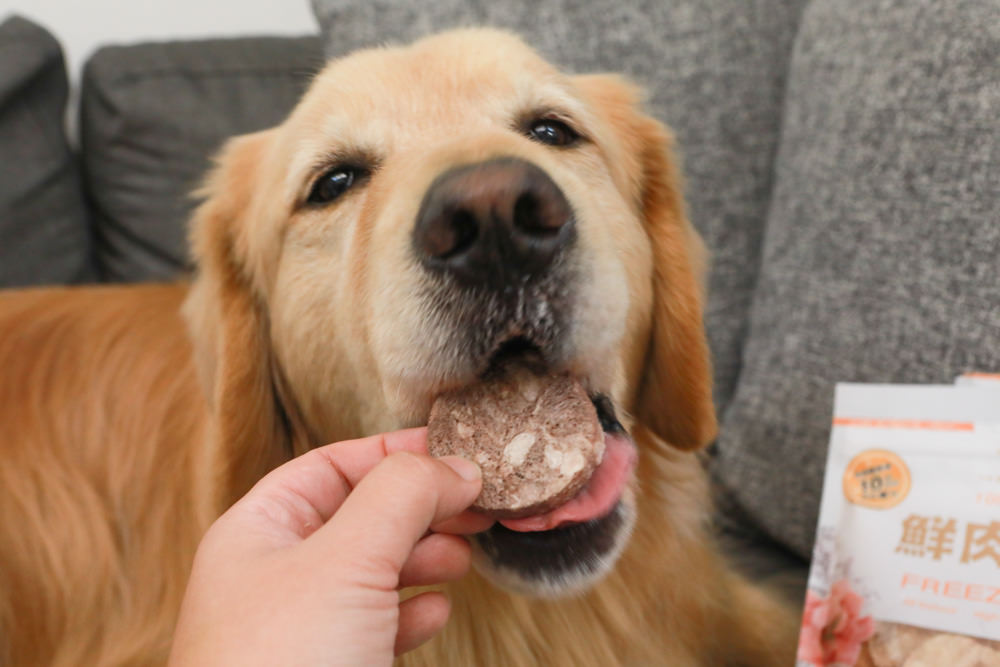 寵物零食、寵物凍乾推薦|Petty Man佳倍讚JERKY天然手作寵物肉乾、犬用鮮肉凍乾。100%天然原料、原肉製作 - 第13張圖 寵物零食、寵物凍乾推薦|Petty Man佳倍讚JERKY天然手作寵物肉乾、犬用鮮肉凍乾。100%天然原料、原肉製作