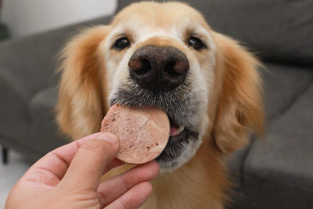 寵物零食、寵物凍乾推薦|Petty Man佳倍讚JERKY天然手作寵物肉乾、犬用鮮肉凍乾。100%天然原料、原肉製作 - 第14張圖 寵物零食、寵物凍乾推薦|Petty Man佳倍讚JERKY天然手作寵物肉乾、犬用鮮肉凍乾。100%天然原料、原肉製作