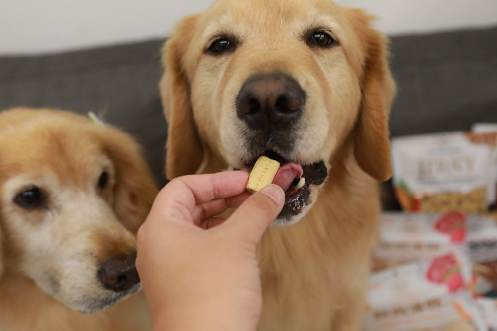 寵物零食、寵物凍乾推薦|Petty Man佳倍讚JERKY天然手作寵物肉乾、犬用鮮肉凍乾。100%天然原料、原肉製作 - 第26張圖 寵物零食、寵物凍乾推薦|Petty Man佳倍讚JERKY天然手作寵物肉乾、犬用鮮肉凍乾。100%天然原料、原肉製作