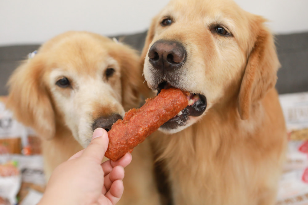 寵物零食、寵物凍乾推薦|Petty Man佳倍讚JERKY天然手作寵物肉乾、犬用鮮肉凍乾。100%天然原料、原肉製作 - 第22張圖 寵物零食、寵物凍乾推薦|Petty Man佳倍讚JERKY天然手作寵物肉乾、犬用鮮肉凍乾。100%天然原料、原肉製作