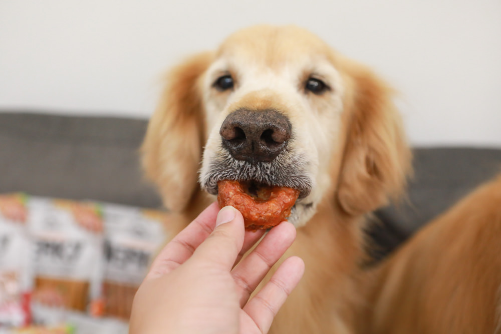 寵物零食、寵物凍乾推薦|Petty Man佳倍讚JERKY天然手作寵物肉乾、犬用鮮肉凍乾。100%天然原料、原肉製作 - 第25張圖 寵物零食、寵物凍乾推薦|Petty Man佳倍讚JERKY天然手作寵物肉乾、犬用鮮肉凍乾。100%天然原料、原肉製作