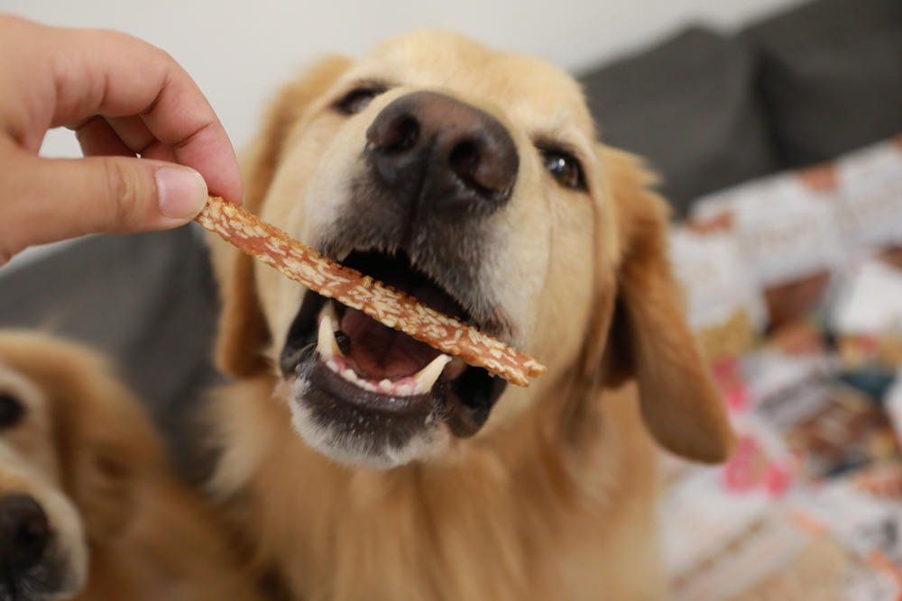 寵物零食、寵物凍乾推薦|Petty Man佳倍讚JERKY天然手作寵物肉乾、犬用鮮肉凍乾。100%天然原料、原肉製作 - 第29張圖 寵物零食、寵物凍乾推薦|Petty Man佳倍讚JERKY天然手作寵物肉乾、犬用鮮肉凍乾。100%天然原料、原肉製作