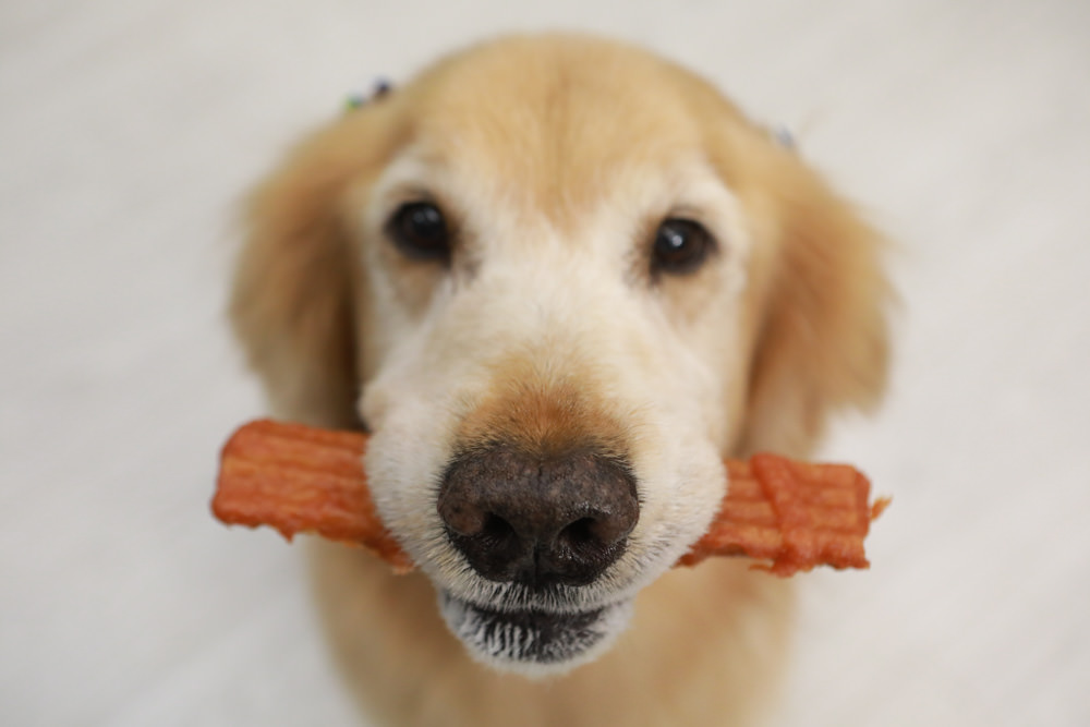 寵物零食、寵物凍乾推薦|Petty Man佳倍讚JERKY天然手作寵物肉乾、犬用鮮肉凍乾。100%天然原料、原肉製作 - 第31張圖 寵物零食、寵物凍乾推薦|Petty Man佳倍讚JERKY天然手作寵物肉乾、犬用鮮肉凍乾。100%天然原料、原肉製作