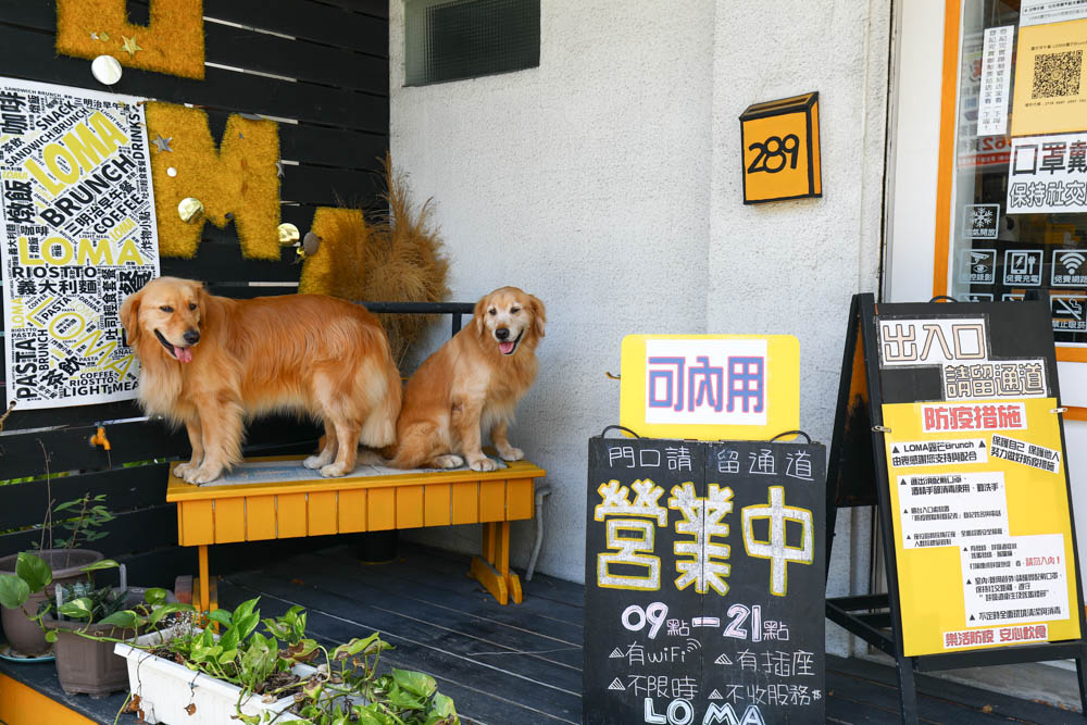 花蓮美食|LOMA露芒Brunch 。花蓮早午餐、花蓮寵物友善餐廳、慈濟大學附近 - 第3張圖 花蓮美食|LOMA露芒Brunch 。花蓮早午餐、花蓮寵物友善餐廳、慈濟大學附近