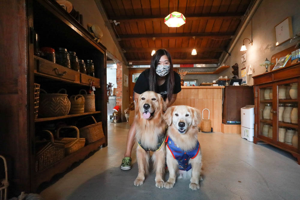 中和南勢角美髮推薦｜日田木Hair salon 新北仁愛店 。秋冬染髮、毛髮內反應型結構式護髮（南勢角捷運站4號出口附近）