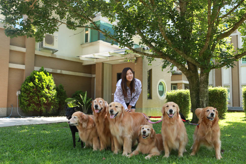 中和南勢角美髮推薦｜日田木Hair salon 新北仁愛店 。秋冬染髮、毛髮內反應型結構式護髮（南勢角捷運站4號出口附近）