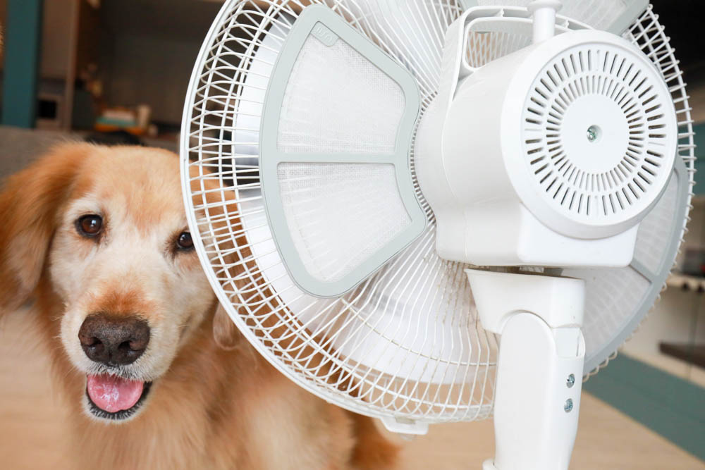 USii奈米纖維立扇濾網。日本原裝進口、電風扇瞬間變身空氣清淨機！！寵物家庭必備！！