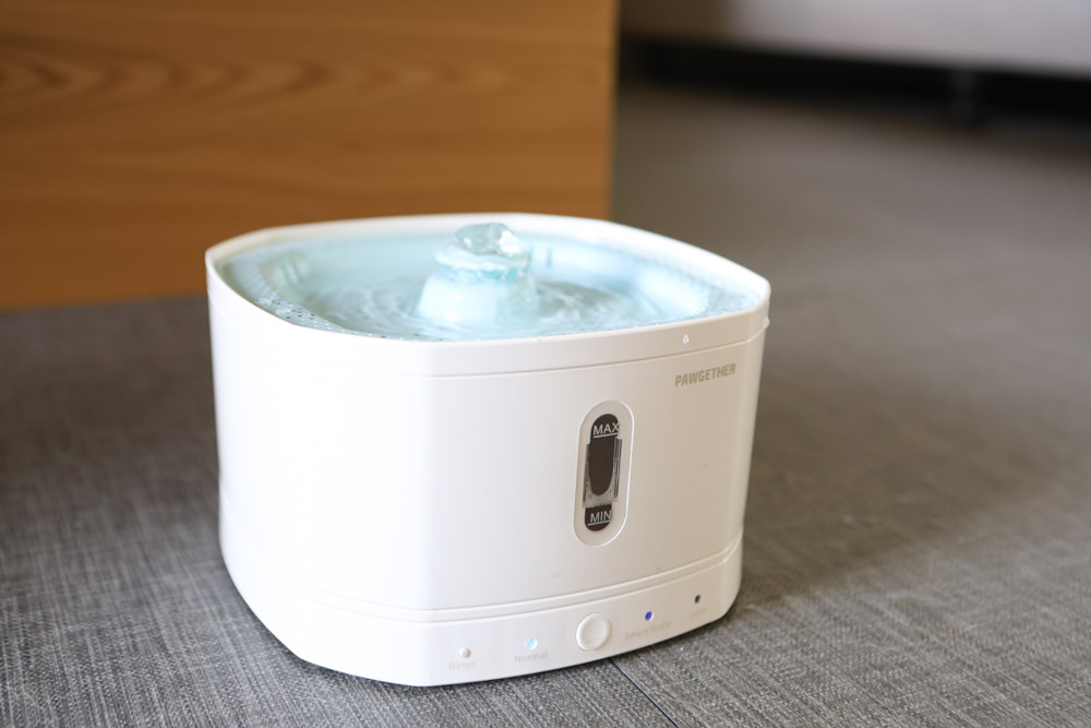 寵小到大PawGether寵物智能飲水器、二合一不鏽鋼餵食碗、魔力愛心按摩梳、寵物多功能隨行杯 - 第12張圖 寵小到大PawGether寵物智能飲水器、二合一不鏽鋼餵食碗、魔力愛心按摩梳、寵物多功能隨行杯