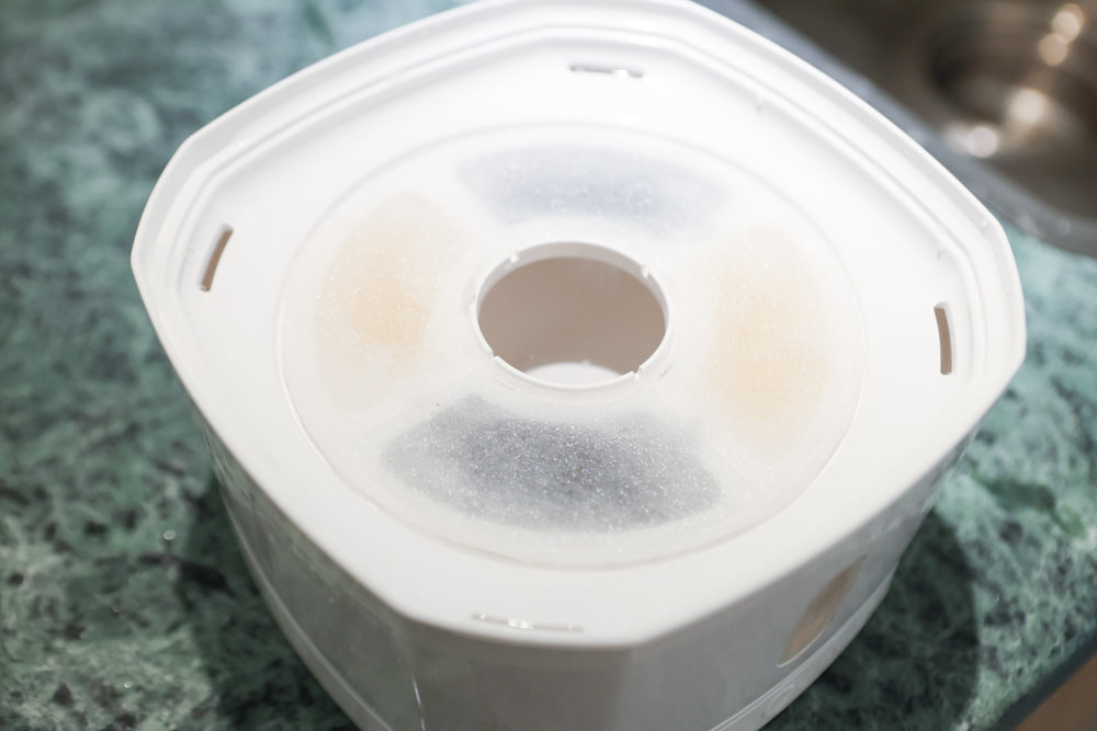 寵小到大PawGether寵物智能飲水器、二合一不鏽鋼餵食碗、魔力愛心按摩梳、寵物多功能隨行杯 - 第10張圖 寵小到大PawGether寵物智能飲水器、二合一不鏽鋼餵食碗、魔力愛心按摩梳、寵物多功能隨行杯