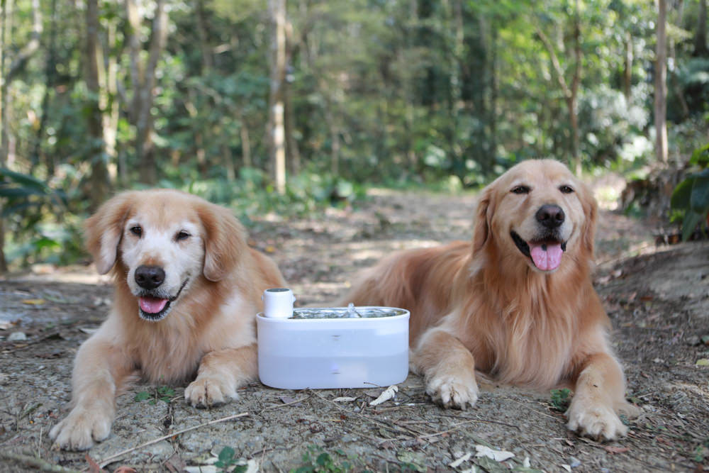 eterno紫外光無線寵物飲水機｜寵物智能飲水機、紫外線滅菌、分離式控制器充電清洗更方便、防水無線設計！！