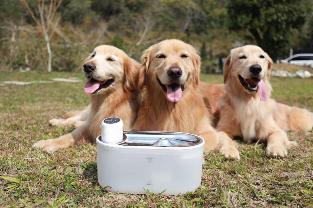 eterno紫外光無線寵物飲水機｜寵物智能飲水機、紫外線滅菌、分離式控制器充電清洗更方便、防水無線設計！！