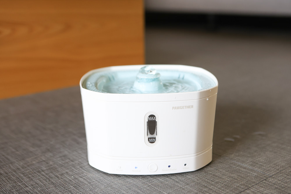 寵小到大PawGether寵物智能飲水器、二合一不鏽鋼餵食碗、魔力愛心按摩梳、寵物多功能隨行杯 - 第4張圖 寵小到大PawGether寵物智能飲水器、二合一不鏽鋼餵食碗、魔力愛心按摩梳、寵物多功能隨行杯