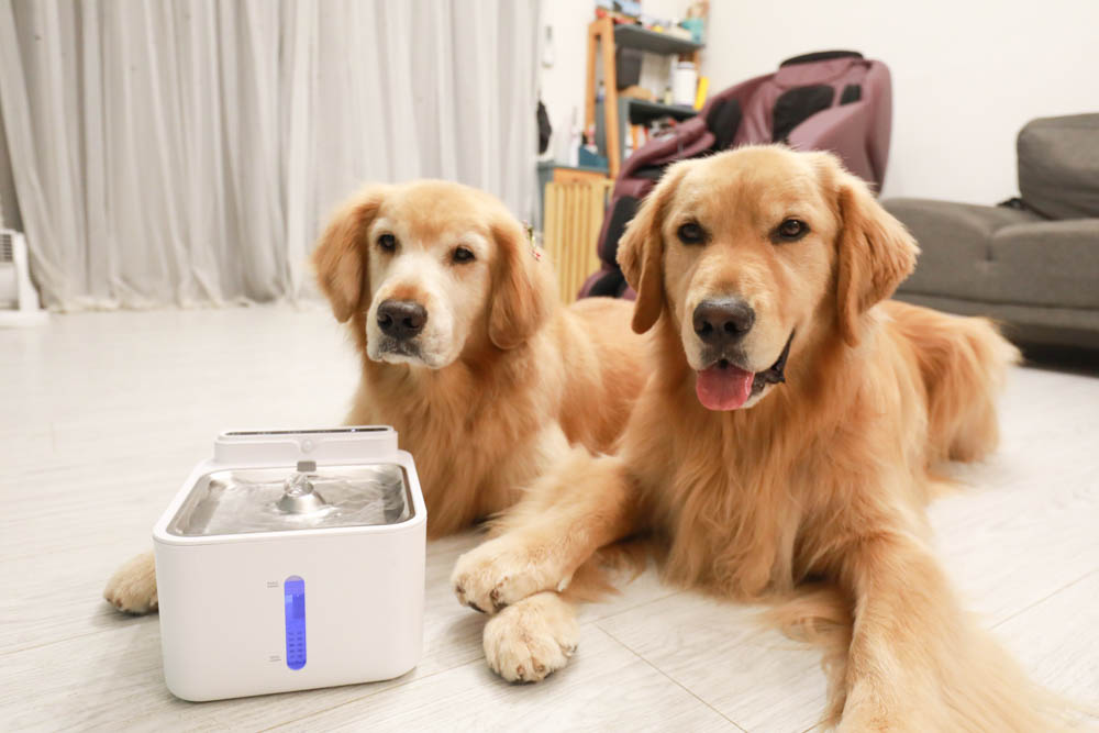 寵物智能飲水機|eterno無線寵物六合一智能飲水器。感應式循環活水、機身底部好清洗、防水加強設計、3L大容量 - 第1張圖 寵物智能飲水機|eterno無線寵物六合一智能飲水器。感應式循環活水、機身底部好清洗、防水加強設計、3L大容量