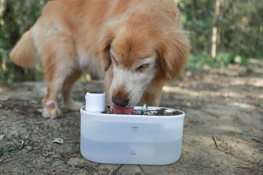 eterno紫外光無線寵物飲水機｜寵物智能飲水機、紫外線滅菌、分離式控制器充電清洗更方便、防水無線設計！！