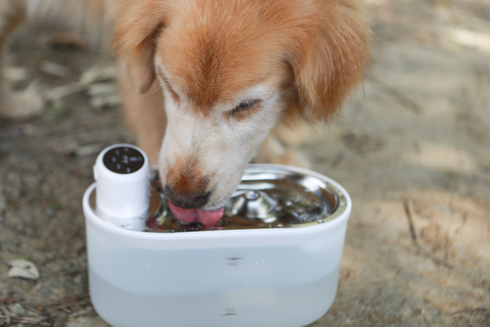 eterno紫外光無線寵物飲水機｜寵物智能飲水機、紫外線滅菌、分離式控制器充電清洗更方便、防水無線設計！！