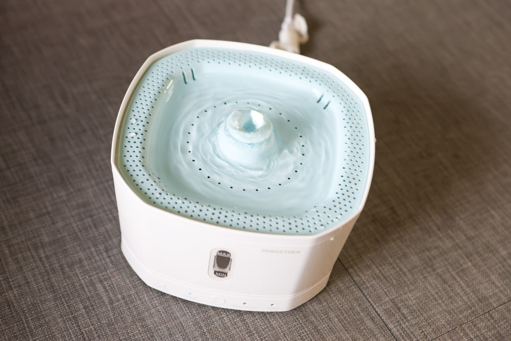 寵小到大PawGether寵物智能飲水器、二合一不鏽鋼餵食碗、魔力愛心按摩梳、寵物多功能隨行杯 - 第6張圖 寵小到大PawGether寵物智能飲水器、二合一不鏽鋼餵食碗、魔力愛心按摩梳、寵物多功能隨行杯