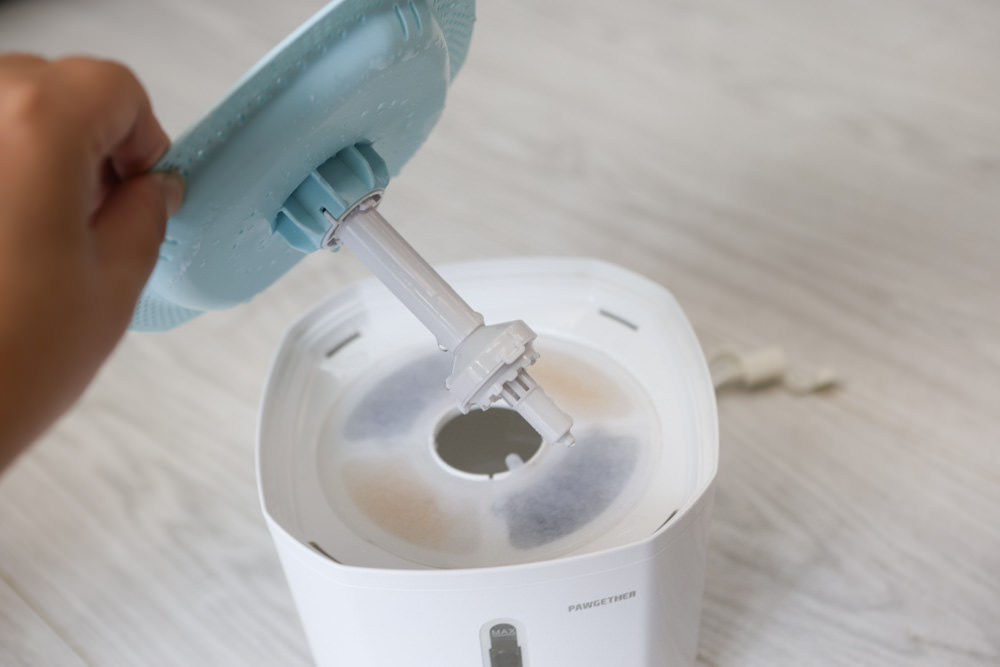 寵小到大PawGether寵物智能飲水器、二合一不鏽鋼餵食碗、魔力愛心按摩梳、寵物多功能隨行杯 - 第9張圖 寵小到大PawGether寵物智能飲水器、二合一不鏽鋼餵食碗、魔力愛心按摩梳、寵物多功能隨行杯