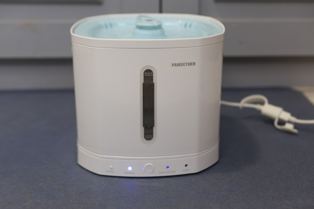 寵小到大PawGether寵物智能飲水器、二合一不鏽鋼餵食碗、魔力愛心按摩梳、寵物多功能隨行杯 - 第2張圖 寵小到大PawGether寵物智能飲水器、二合一不鏽鋼餵食碗、魔力愛心按摩梳、寵物多功能隨行杯