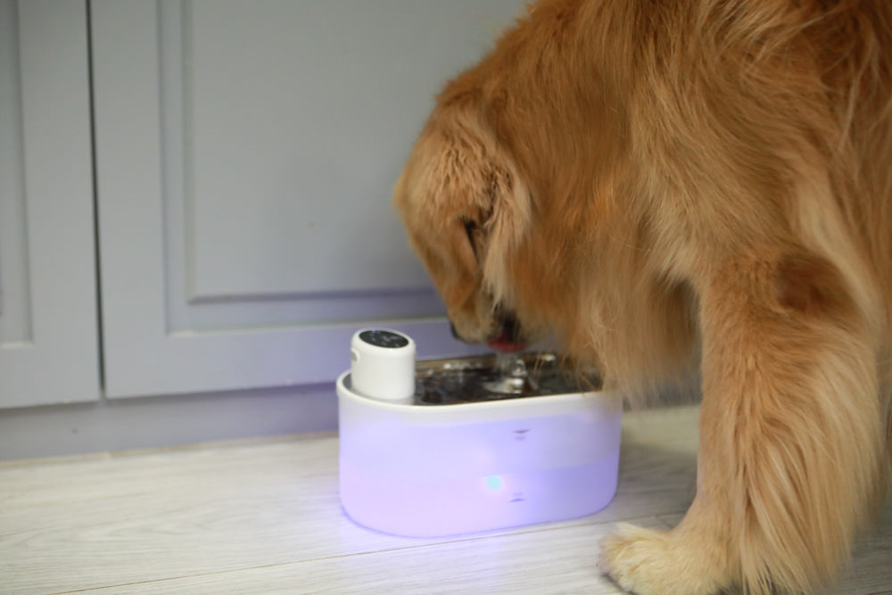eterno紫外光無線寵物飲水機｜寵物智能飲水機、紫外線滅菌、分離式控制器充電清洗更方便、防水無線設計！！