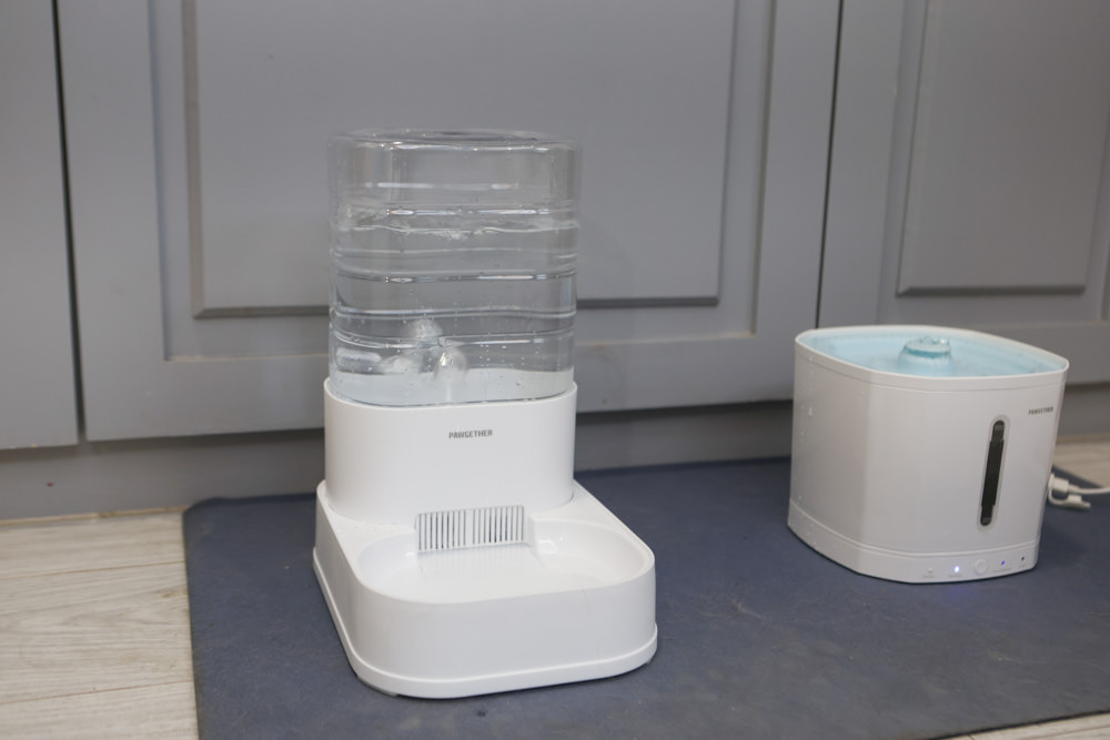 寵小到大PawGether寵物智能飲水器、二合一不鏽鋼餵食碗、魔力愛心按摩梳、寵物多功能隨行杯 - 第29張圖 寵小到大PawGether寵物智能飲水器、二合一不鏽鋼餵食碗、魔力愛心按摩梳、寵物多功能隨行杯