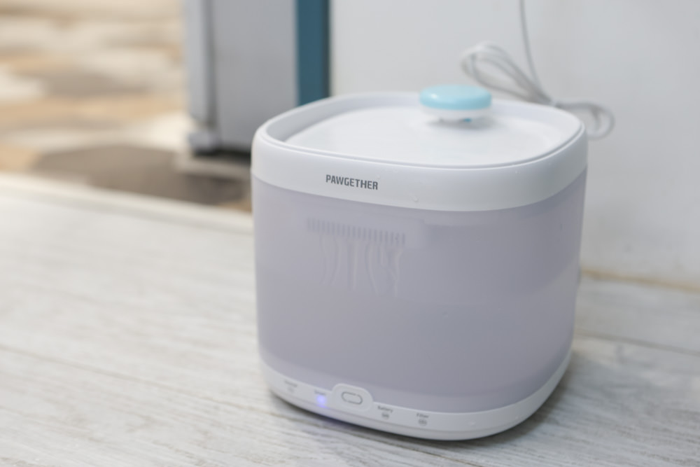 寵小到大PawGether寵物智能飲水器、二合一不鏽鋼餵食碗、魔力愛心按摩梳、寵物多功能隨行杯 - 第19張圖 寵小到大PawGether寵物智能飲水器、二合一不鏽鋼餵食碗、魔力愛心按摩梳、寵物多功能隨行杯