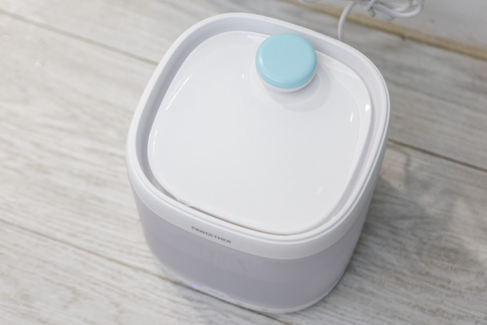 寵小到大PawGether寵物智能飲水器、二合一不鏽鋼餵食碗、魔力愛心按摩梳、寵物多功能隨行杯 - 第25張圖 寵小到大PawGether寵物智能飲水器、二合一不鏽鋼餵食碗、魔力愛心按摩梳、寵物多功能隨行杯