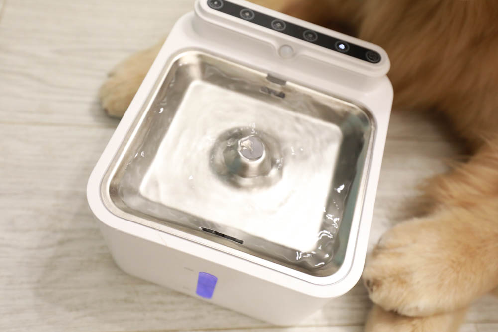 寵物智能飲水機|eterno無線寵物六合一智能飲水器。感應式循環活水、機身底部好清洗、防水加強設計、3L大容量 - 第21張圖 寵物智能飲水機|eterno無線寵物六合一智能飲水器。感應式循環活水、機身底部好清洗、防水加強設計、3L大容量