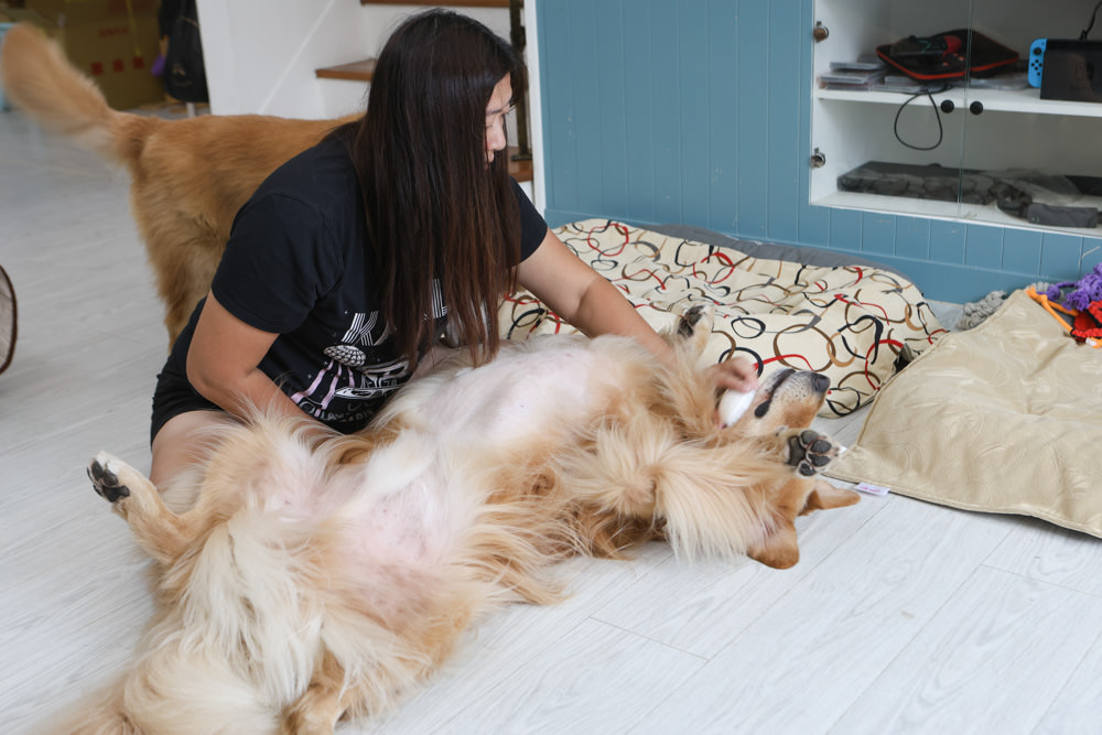 寵小到大PawGether寵物智能飲水器、二合一不鏽鋼餵食碗、魔力愛心按摩梳、寵物多功能隨行杯 - 第48張圖 寵小到大PawGether寵物智能飲水器、二合一不鏽鋼餵食碗、魔力愛心按摩梳、寵物多功能隨行杯