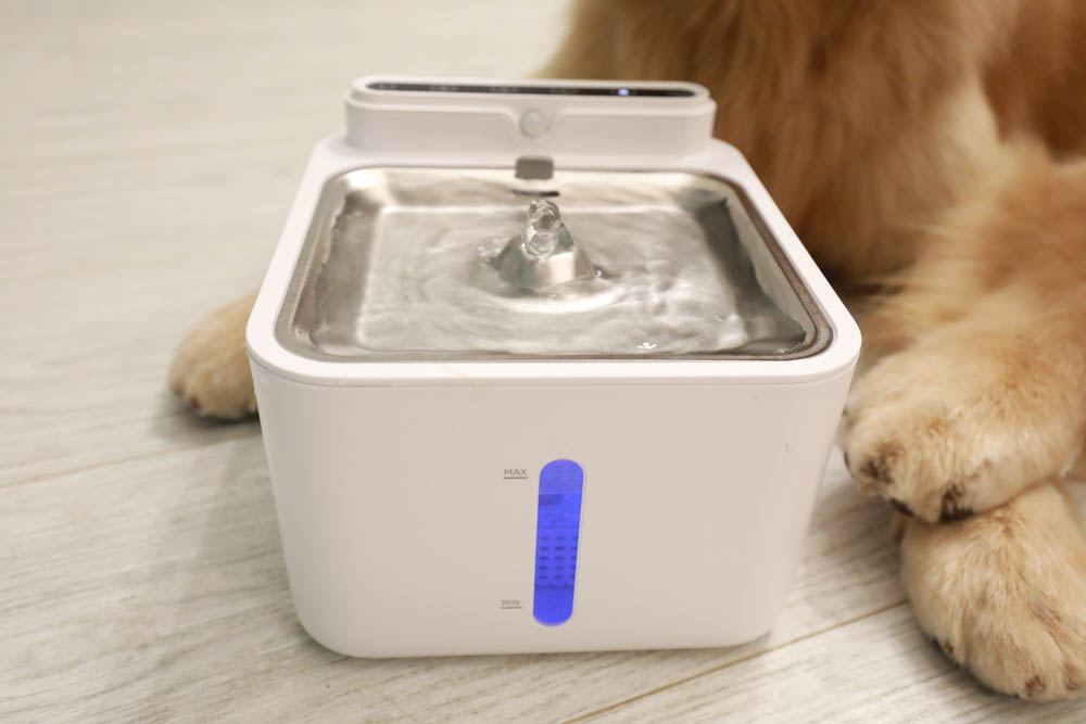 寵物智能飲水機|eterno無線寵物六合一智能飲水器。感應式循環活水、機身底部好清洗、防水加強設計、3L大容量 - 第22張圖 寵物智能飲水機|eterno無線寵物六合一智能飲水器。感應式循環活水、機身底部好清洗、防水加強設計、3L大容量