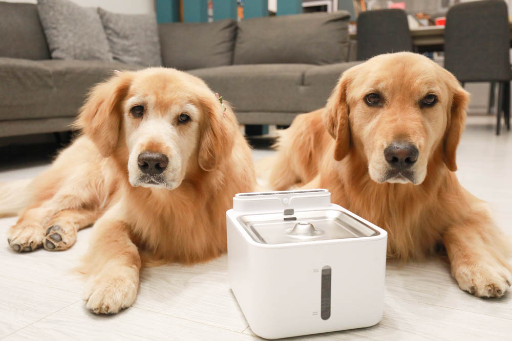 寵物智能飲水機|eterno無線寵物六合一智能飲水器。感應式循環活水、機身底部好清洗、防水加強設計、3L大容量 - 第23張圖 寵物智能飲水機|eterno無線寵物六合一智能飲水器。感應式循環活水、機身底部好清洗、防水加強設計、3L大容量