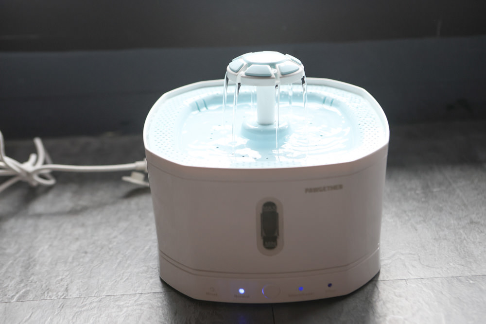 寵小到大PawGether寵物智能飲水器、二合一不鏽鋼餵食碗、魔力愛心按摩梳、寵物多功能隨行杯 - 第5張圖 寵小到大PawGether寵物智能飲水器、二合一不鏽鋼餵食碗、魔力愛心按摩梳、寵物多功能隨行杯