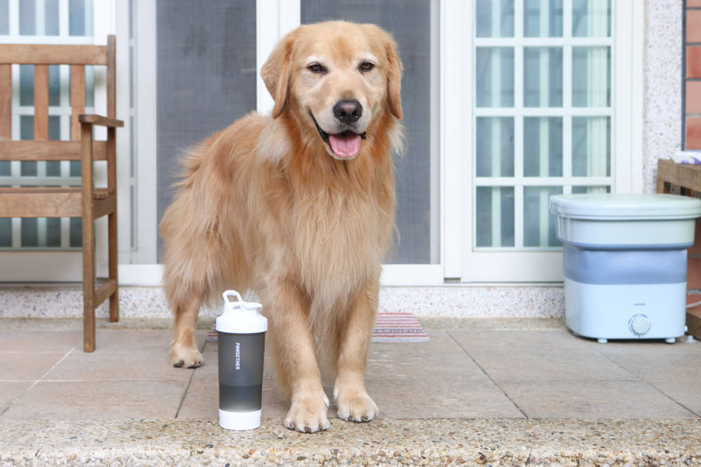 寵小到大PawGether寵物智能飲水器、二合一不鏽鋼餵食碗、魔力愛心按摩梳、寵物多功能隨行杯 - 第50張圖 寵小到大PawGether寵物智能飲水器、二合一不鏽鋼餵食碗、魔力愛心按摩梳、寵物多功能隨行杯