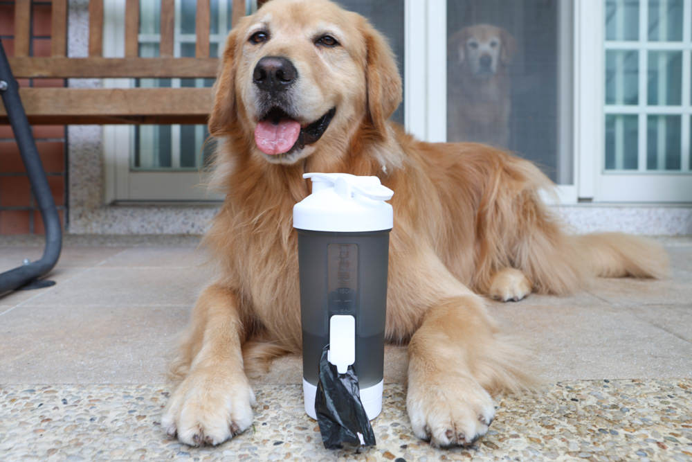 寵小到大PawGether寵物智能飲水器、二合一不鏽鋼餵食碗、魔力愛心按摩梳、寵物多功能隨行杯 - 第52張圖 寵小到大PawGether寵物智能飲水器、二合一不鏽鋼餵食碗、魔力愛心按摩梳、寵物多功能隨行杯