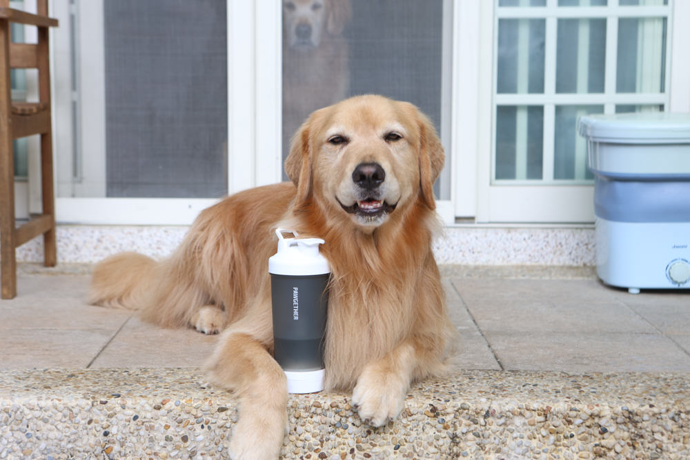 寵小到大PawGether寵物智能飲水器、二合一不鏽鋼餵食碗、魔力愛心按摩梳、寵物多功能隨行杯 - 第51張圖 寵小到大PawGether寵物智能飲水器、二合一不鏽鋼餵食碗、魔力愛心按摩梳、寵物多功能隨行杯