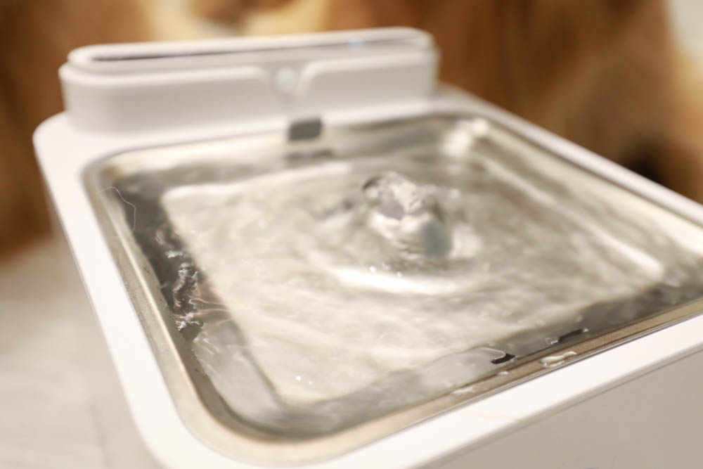 寵物智能飲水機|eterno無線寵物六合一智能飲水器。感應式循環活水、機身底部好清洗、防水加強設計、3L大容量 - 第8張圖 寵物智能飲水機|eterno無線寵物六合一智能飲水器。感應式循環活水、機身底部好清洗、防水加強設計、3L大容量