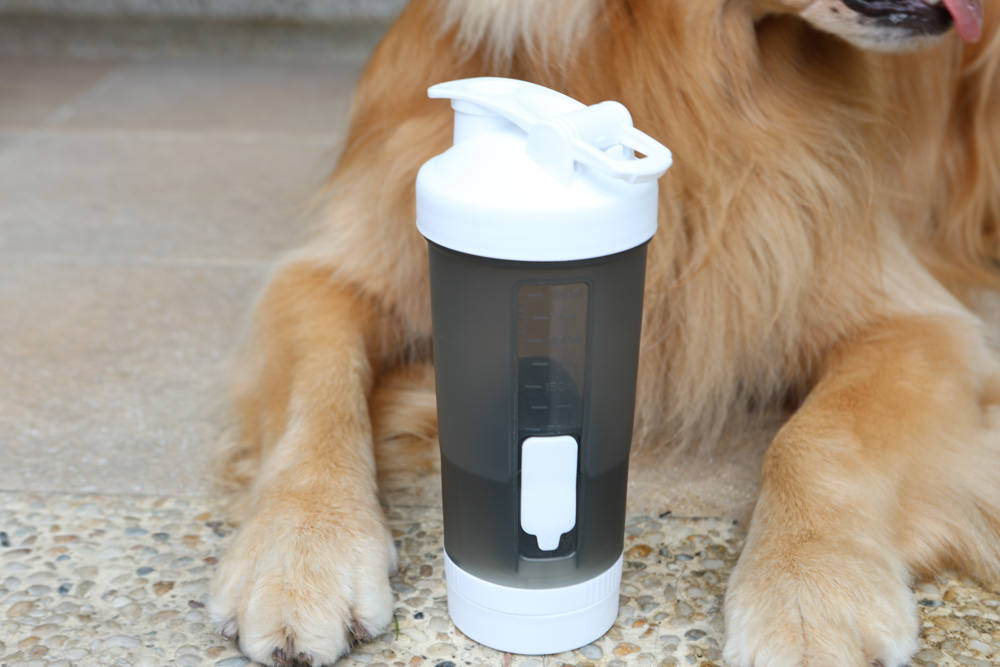 寵小到大PawGether寵物智能飲水器、二合一不鏽鋼餵食碗、魔力愛心按摩梳、寵物多功能隨行杯