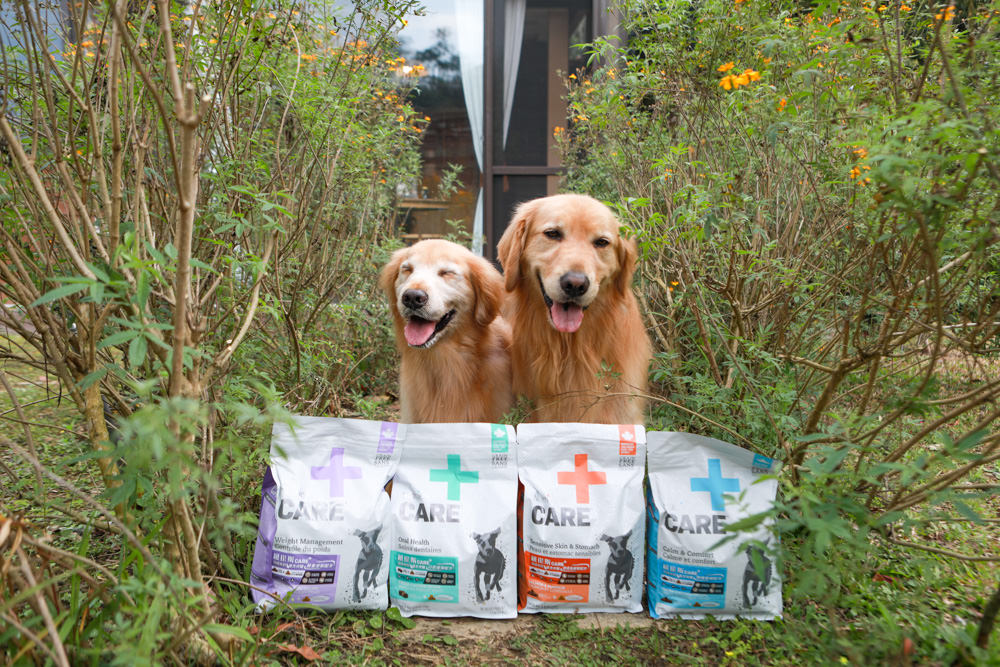 Nutrience紐崔斯CARE+系列 頂級無穀處方犬糧|WDJ+DFA雙認證、情緒安穩、皮膚及腸胃、口腔護理、體重控制 - 第5張圖 Nutrience紐崔斯CARE+系列 頂級無穀處方犬糧|WDJ+DFA雙認證、情緒安穩、皮膚及腸胃、口腔護理、體重控制