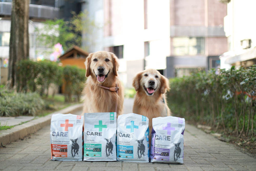 Nutrience紐崔斯CARE+系列 頂級無穀處方犬糧|WDJ+DFA雙認證、情緒安穩、皮膚及腸胃、口腔護理、體重控制 - 第1張圖 Nutrience紐崔斯CARE+系列 頂級無穀處方犬糧|WDJ+DFA雙認證、情緒安穩、皮膚及腸胃、口腔護理、體重控制
