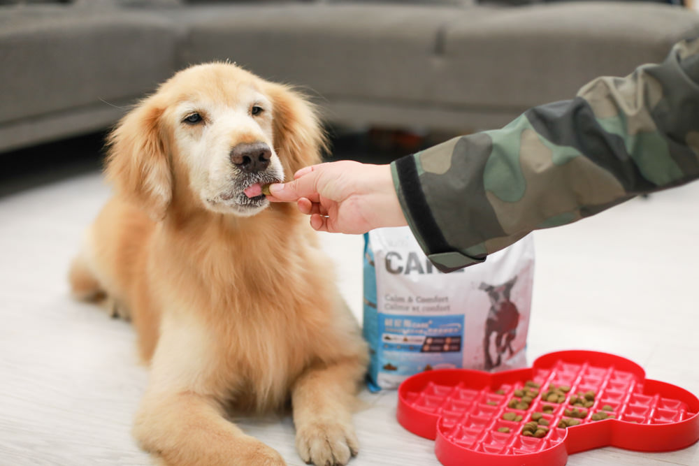 Nutrience紐崔斯CARE+系列 頂級無穀處方犬糧|WDJ+DFA雙認證、情緒安穩、皮膚及腸胃、口腔護理、體重控制 - 第9張圖 Nutrience紐崔斯CARE+系列 頂級無穀處方犬糧|WDJ+DFA雙認證、情緒安穩、皮膚及腸胃、口腔護理、體重控制