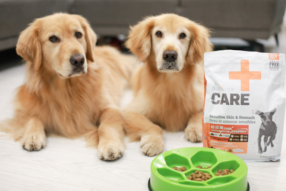 Nutrience紐崔斯CARE+系列 頂級無穀處方犬糧|WDJ+DFA雙認證、情緒安穩、皮膚及腸胃、口腔護理、體重控制 - 第10張圖 Nutrience紐崔斯CARE+系列 頂級無穀處方犬糧|WDJ+DFA雙認證、情緒安穩、皮膚及腸胃、口腔護理、體重控制